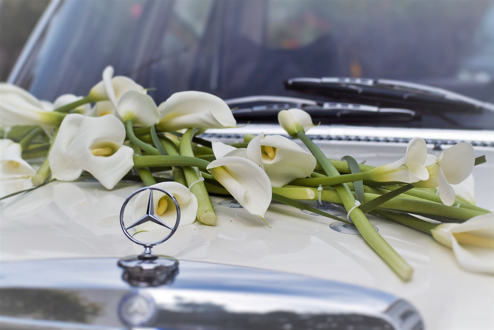 Autoschmuck für Ihre Traum-Hochzeit • Lechner Floristik